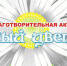 Акция Белый цветок Вязьма - VyazmaNews.Net