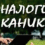 «Налоговые каникулы» для предпринимателей - Мой город Вязьма.Ru