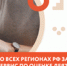 biz - Администрация Вяземского района
