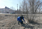 Субботник