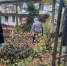 Участие в общегородском субботнике - Вяземская ЦБС